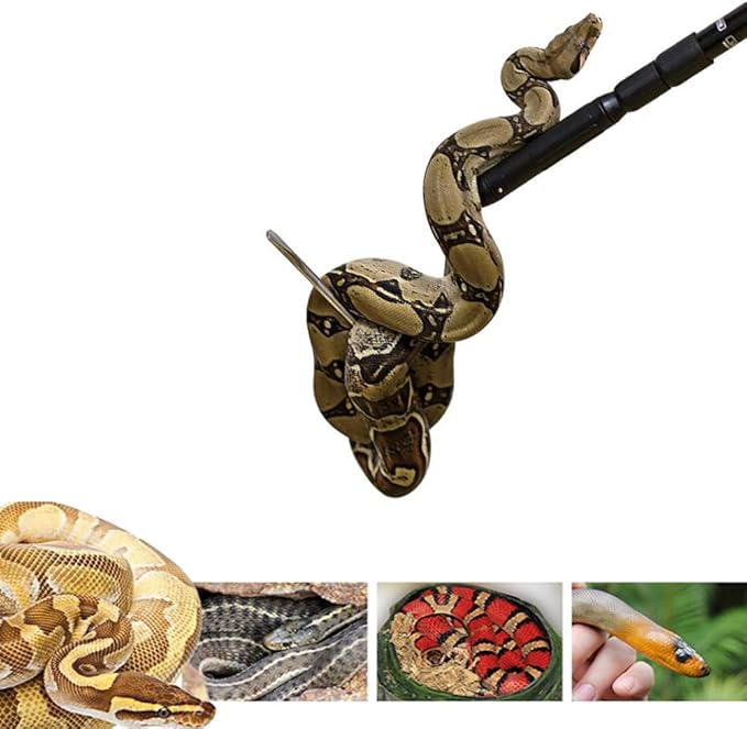 Extendable Snake Hook Reptile Corn Snake Ball Python Rattlesnake Handling Tool for Catching,Controlling,Or Moving Snakes, Material Tool(53inch and 25inch) PAWPICO