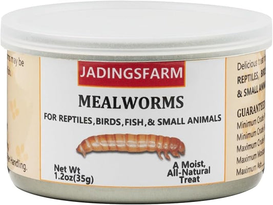 6 Pack Canned Mealworms for Reptiles, Fish, Birds and Small Animals, Meal Worms, Healthy High Protein Treat, Reptile Bird Fish Food 7.2 Ounces Total Jadingfarm