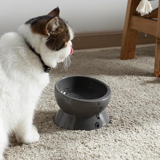 Y YHY Elevated Cat Food Bowl, Raised Pet Food and Water Bowl, Ceramic, 15oz - PAWPICO