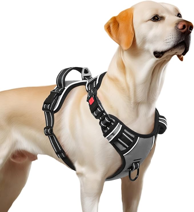 Timos Dog Harness Large Sized, No Pull Dog Harness with Neck Lockable Snap,No Choke Front Clip Dog Reflective Harness,Adjustable Metal Rings 3 Buckles,Easy Control Handle for Large Dogs Gray XL Timos