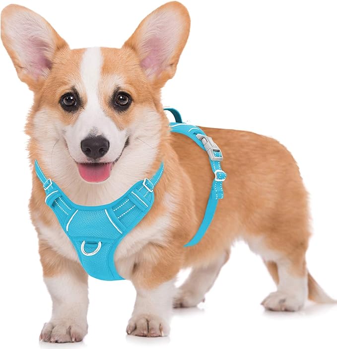 BARKBAY No Pull Dog Harness Large Reflective Dog Harness with Front Clip and Easy Control Handle for Walking Training Running with ID tag Pocket(Blue,M) BARKBAY