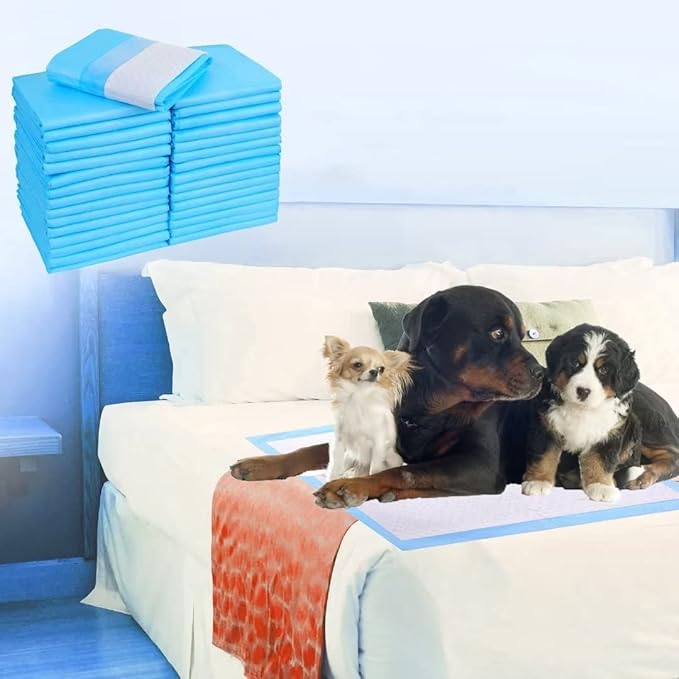 100 Count Pee Pads for Dogs,36"x36" Dog Pee Pads Extra Large,Dog Pads Leak-Proof & Puppy Pads Quick Dry,Disposable Training Potty Pads for Dogs Cats, Rabbits - PAWPICO