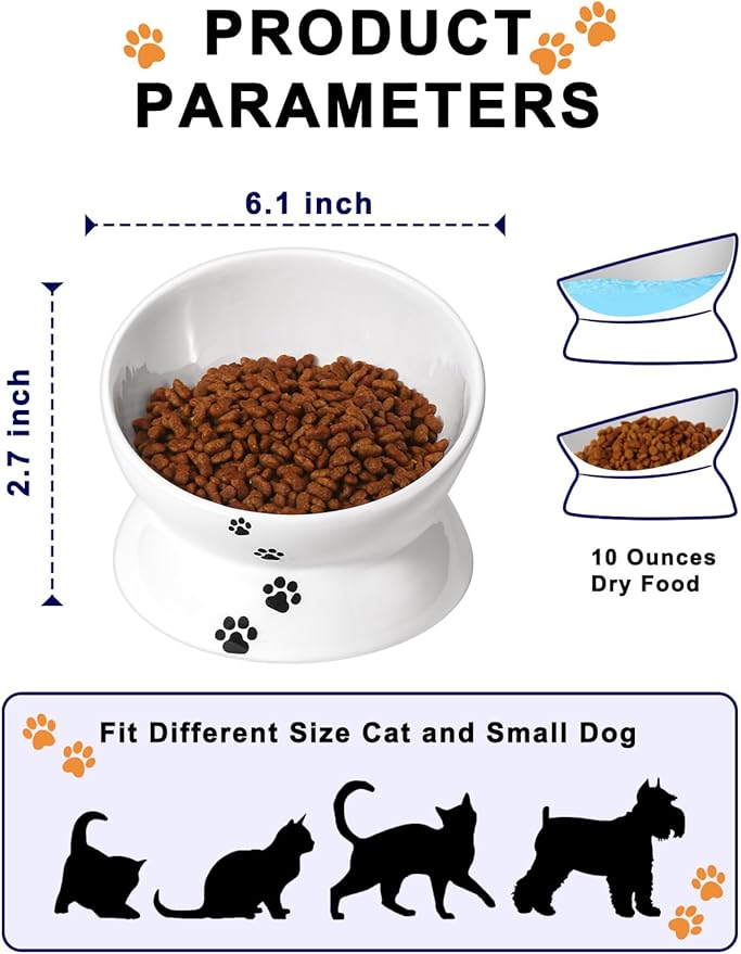 Y YHY Cat Food Bowl 6", Elevated Tilted Cat Bowl, Raised Cat Bowls for Adult Cats or Dogs, Ceramic Pet Food Water Dish 10 oz, White - PAWPICO