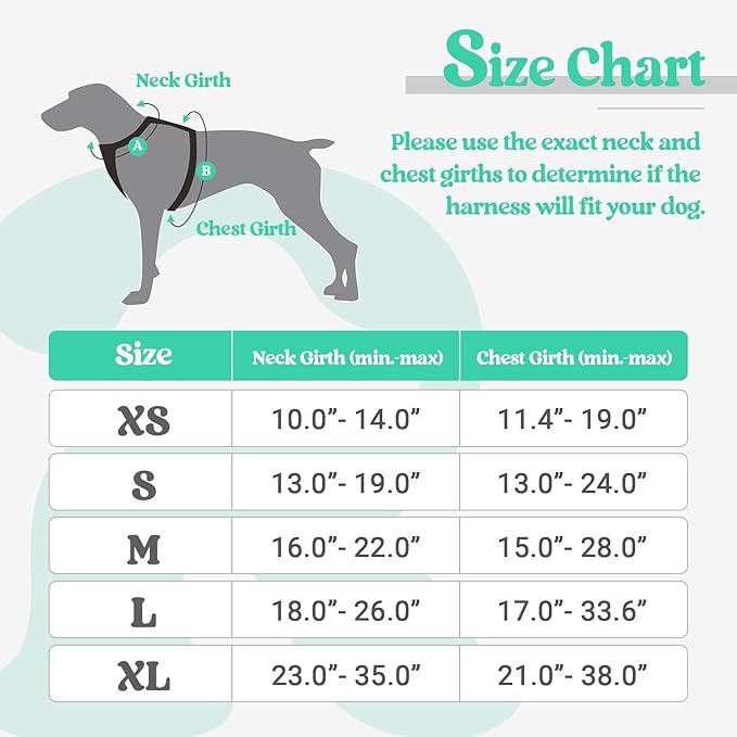 rabbitgoo Dog Harness No Pull with 2 Leash Clips, Adjustable Soft Padded, Reflective Oxford No Choke Pet Vest with Easy Control Handle for Large Dogs, Turquoise, L rabbitgoo