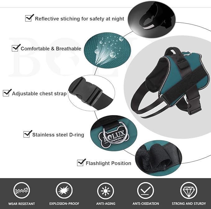 Bolux Dog Harness, No-Pull Reflective Dog Vest, Breathable Adjustable Pet Harness with Handle for Outdoor Walking - No More Pulling, Tugging or Choking (Turquoise, M) Bolux