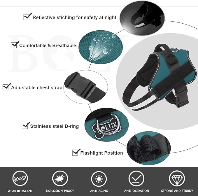 Bolux Dog Harness, No-Pull Reflective Dog Vest, Breathable Adjustable Pet Harness with Handle for Outdoor Walking - No More Pulling, Tugging or Choking (Turquoise, XS) Bolux