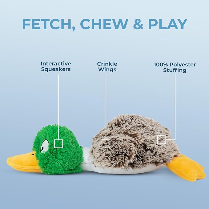 Best Pet Supplies Interactive Mallard Mates Dog Toy with Crinkle and Squeaky Enrichment for Small and Medium Breed Puppies or Dogs, Cute and Plush - Mallard Duck (Gray), Small - PAWPICO