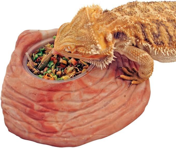 Bearded Dragon Food Instant Meal for Reptiles - Nutritious Bearded Dragon Accessories, Bearded Dragon Food - Made in USA - Quick Prep for Box Turtles, Lizards, Tortoises - 8.4 oz (240g) HealthyHerp