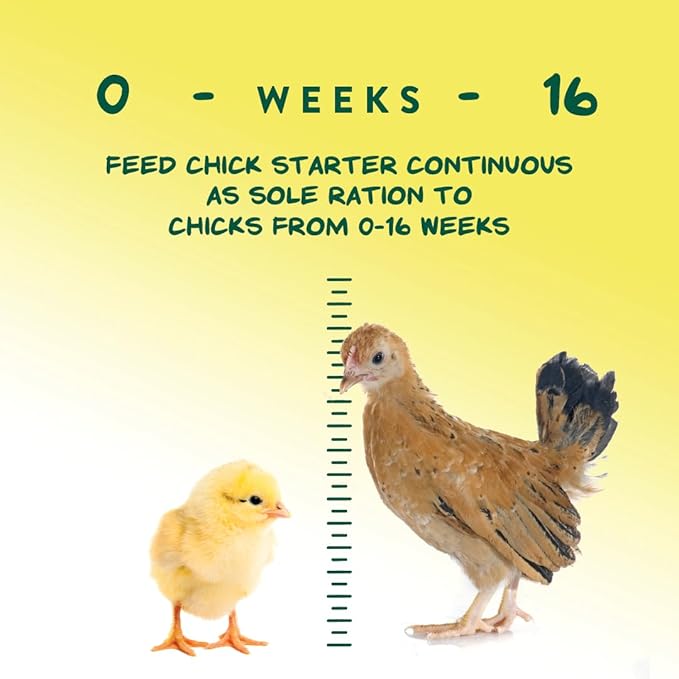 Manna Pro Chick Starter Grower - Medicated Chick Feed Crumble for Young Chickens - Formulated with Amprolium - 5 lbs MannaPro