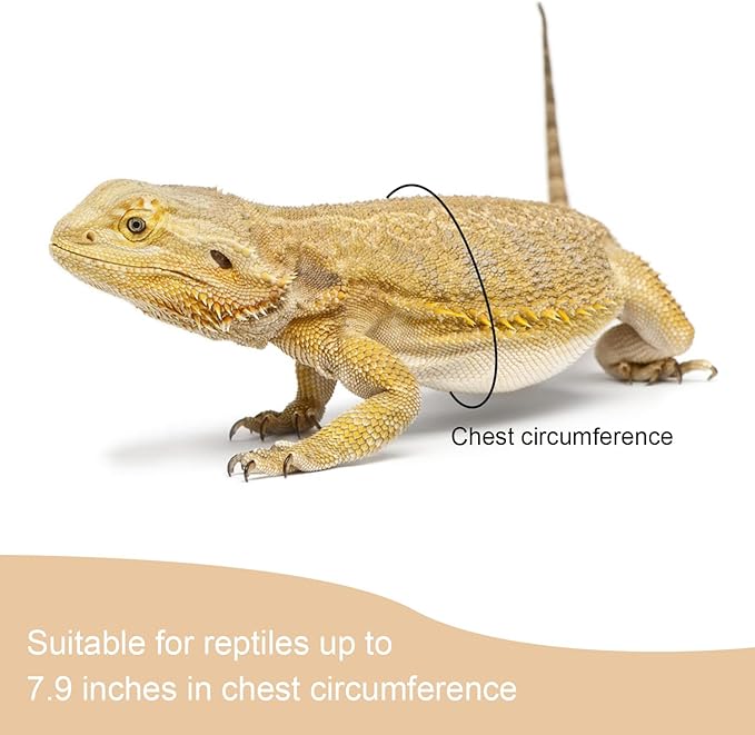 2 Pack Adjustable Reptile Harness and Leash for Lizard Gecko Bearded Dragon Outside Walk (Black) Wontee