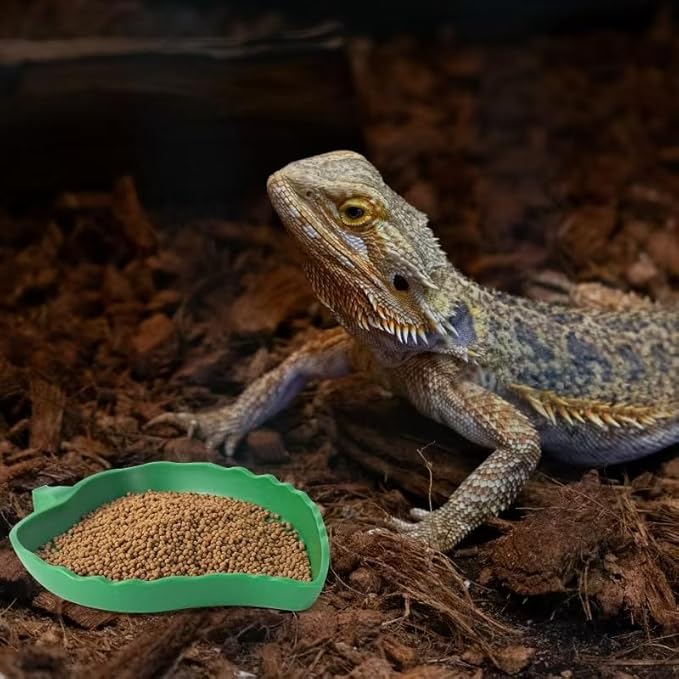 4Pack Terrarium Bowls Turtle Feeding Dishes Shallow and Flat Reptile Food and Water Feeder for Tortoise,Bearded Dragon,Lizards,Gecko,Cute Leaf and Mango Shaped SLSON
