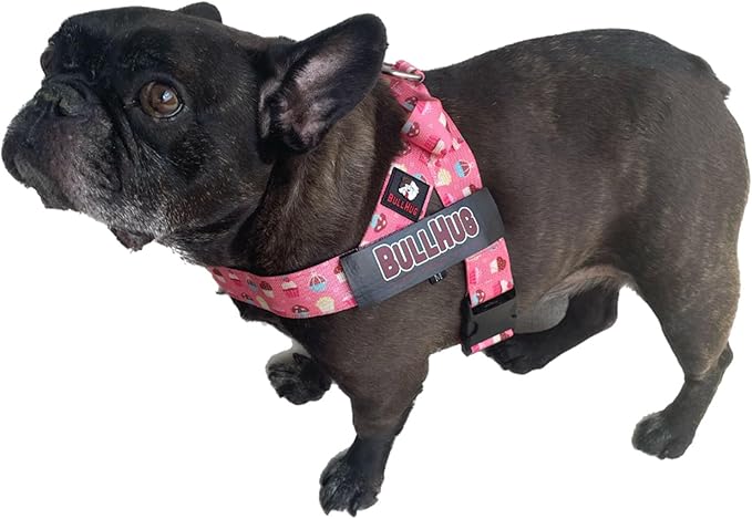 BULLHUG Harness – Made for Larger Chested Dogs Like English Bulldogs, French Bulldogs, Pugs & More. Stops Dogs from Pulling & Choking on Walks (Cups Medium) BULLHUG