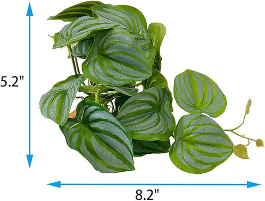 YOGURTCK Reptile Artificial Plants, Amphibian Habitat Hideout, Terrarium Decorations - Peperomia Watermelon YOGURTCK