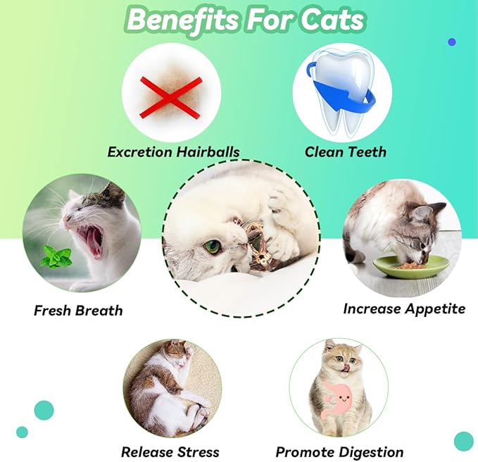 Cat Catnip Toys 3 Packs Catnip Ball Toys, Nature Silvervine Stick Cage Cat Bell Balls, Catnip Toys for Cleaning Teeth, Relaxing Cats, Cat Toys for All Breeds - PAWPICO