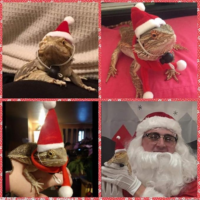 HAICHEN TEC Lizard Clothes for Bearded Dragons Christmas Hat Scarf Set Reptile Apparel Handmade Flannel Clothes HAICHENTEC