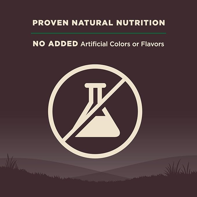 Wellness Core Natural Grain Free Dry Dog Food, Lamb, 4-Pound Bag - PAWPICO