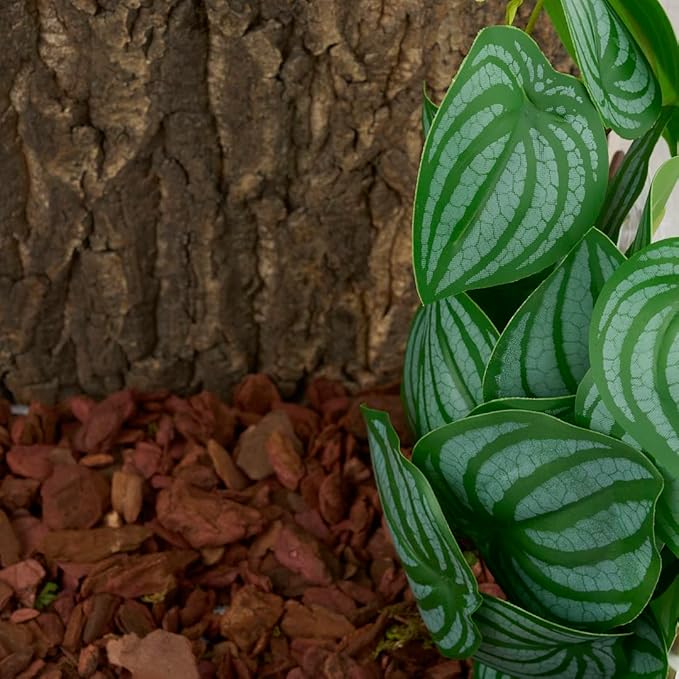 Reptile Plants for Terrarium, Amphibian Habitat Decor Artificial Hanging Plants with Suction Cup - Fake Calathea Orbifolia WOLEDOE