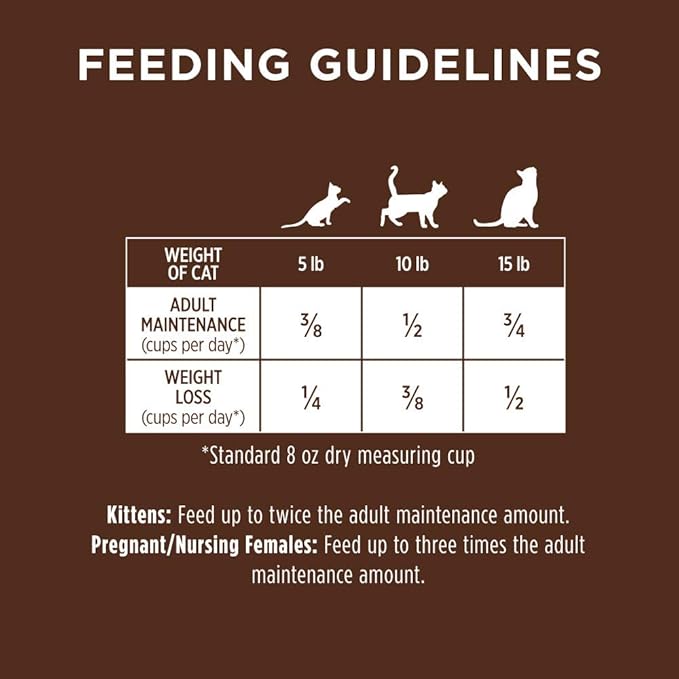 Instinct Original Grain Free Recipe with Real Rabbit Natural Dry Cat Food, 10 lb. Bag - PAWPICO