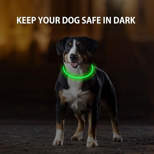2-Pack LED Dog Collar, Light Up Dog Collars,Rechargeable Dog Lights for Night Walking,Universal, Reusable Safety Necklace for Small Medium Large Dogs Green&Blue NOVKIN