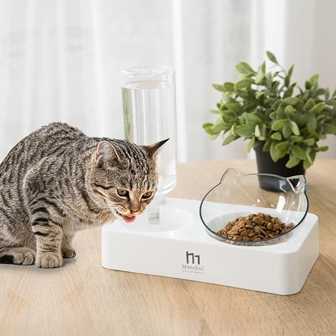 Marchul Tilted Cat Food Bowl with Feeding Mat for Food and Water, Food Feeding Dishes for Raised Cats and Puppies - PAWPICO