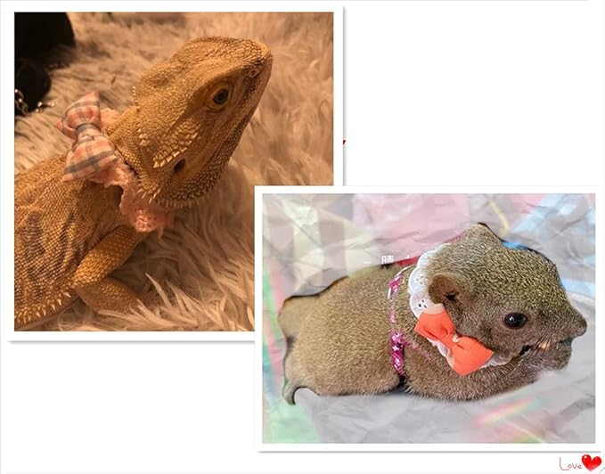 Lizard Bearded Dragons Stretchy Pink White Plaid Bowtie with Elastic Lace Decor Handmade Bowknot Collar Bandanas Costume Reptile Apparel Photo Gift Lizard Clothes Accessories for Bearded Dragon HAICHENTEC