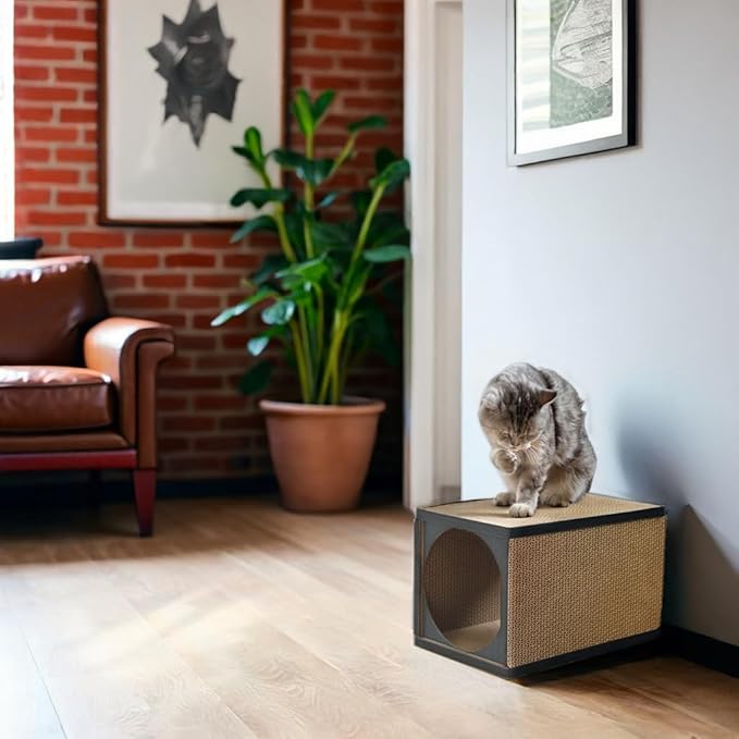 Cat Scratcher Tunnel, cardboard cat house, scratching post for Indoor cats, 360 degree comfort, durable design, odor-free, easy assembly, perfect for playful kittens and adult cats, blackwood - PAWPICO
