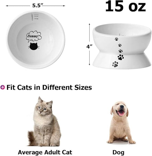 Y YHY Elevated Cat Food Bowl, Raised Pet Food and Water Bowl for Cat and Small Dog, Tilted Ceramic Water Bowl No Spill,15oz, Dishwasher Safe - PAWPICO