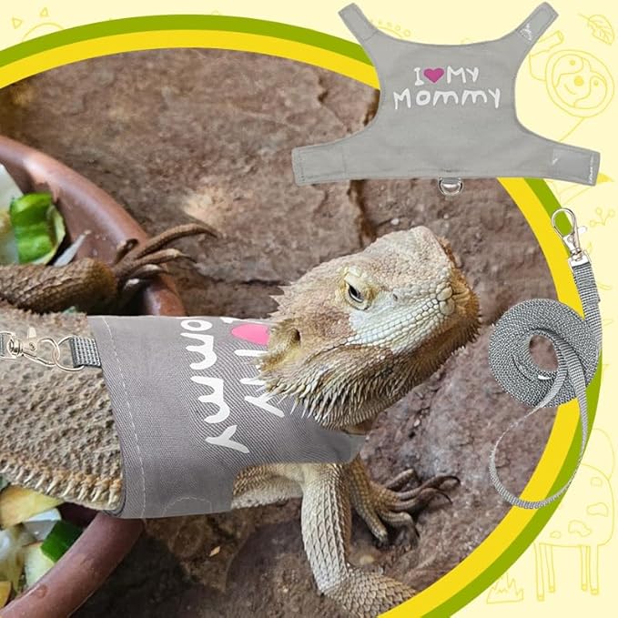 Bearded Dragon Leash and Harness Adjustable - Bearded Dragon Leash and Harness Set with Lizard Luminous Leash for Amphibians Chameleons Small Pet Animals Outdoor Safety Walking(Grey) HOKABLE