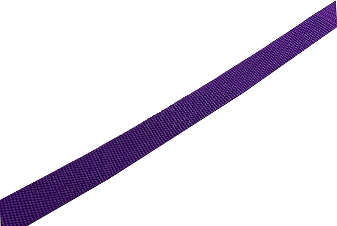 Adjustable Nylon Dog Collar, pet Collar 1 Inch 3/4 Inch 5/8 Inch Wide, for Large Medium Small Dogs (S(5/8" x 11-16"), Purple) TAIDA
