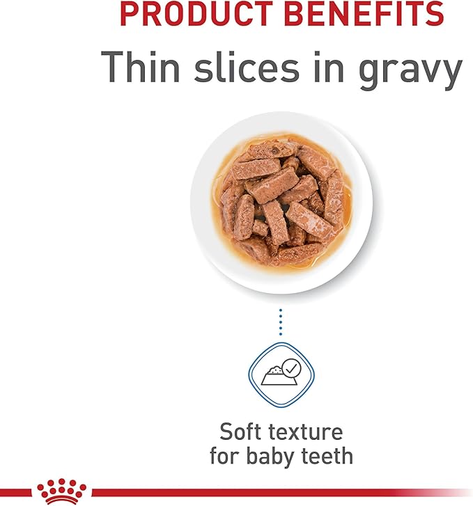 Royal Canin Size Health Nutrition Large Puppy Thin Slices in Gravy Wet Dog Food, 13 Oz Can (6-Pack) - PAWPICO