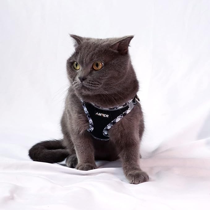 AMTOR Dog Harness with Leash Set,No Pull Adjustable Reflective Step-in Puppy Harness with Padded Vest for Extra-Small/Small Medium Large Dogs and Cats(Blackwhite) AMTOR