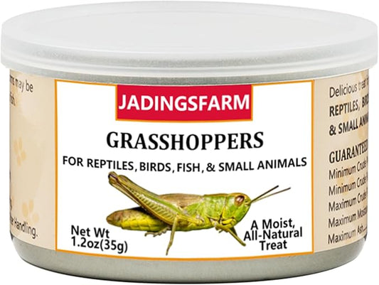 6 Pack Canned Grasshoppers for Reptiles, Fish, Birds and Small Animals, Grasshoppers, Healthy High Protein Treat, Bearded Dragon Food 1.2 Ounces Each Jadingfarm
