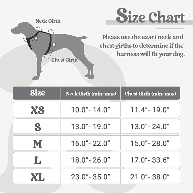 rabbitgoo Dog Harness No Pull with 2 Leash Clips, Adjustable Soft Padded, Reflective Oxford No Choke Pet Vest with Easy Control Handle for Puppy, Grey, XS rabbitgoo