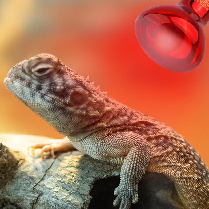Aiicioo Reptile Red Light Bulb - Reptile Heat Lamp Bulb Infrared Basking Spot Lamp for Bearded Dragon Lizard Turtle Hermit Crab Leopard Gecko Snake Chameleon 50W AIICIOO