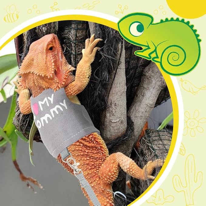 Bearded Dragon Leash and Harness Adjustable - Bearded Dragon Leash and Harness Set with Lizard Luminous Leash for Amphibians Chameleons Small Pet Animals Outdoor Safety Walking(Grey) HOKABLE