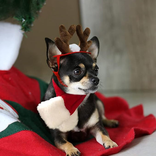 PETLESO Cat Christmas Costume, Cat Reindeer Antlers with Christmas Scarf Small Dog Santa Costume Pet Xmas Outfits for Cat Kitten, Puppy - PAWPICO