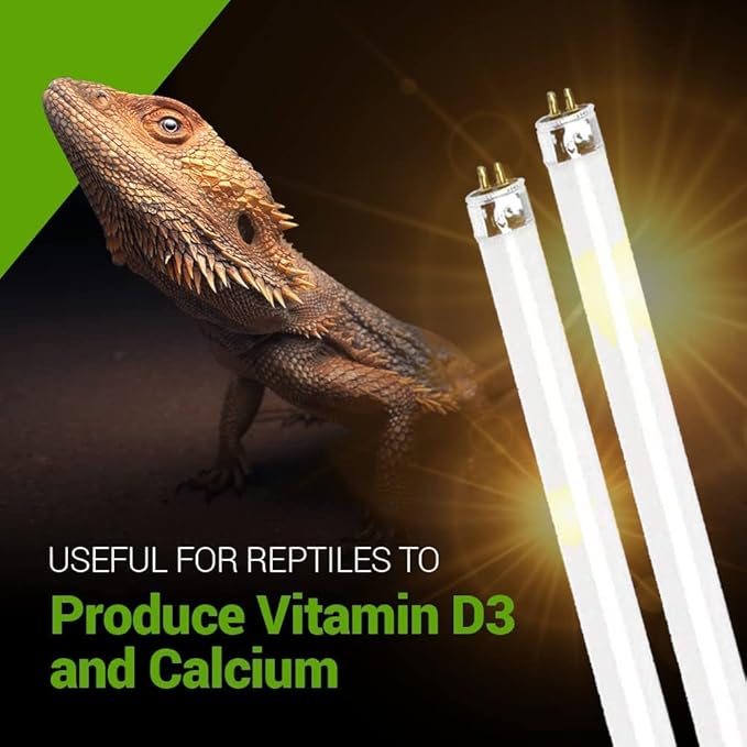 2 Pack 8W-Watt T5 HO Reptile Light Desert UVA UVB 10.0 Fluorescent Tube - 12" Terrarium Hood Light Suitable for Desert Reptile Lizards Bearded Dragons & Promotes Natural Behavior UVB Bulb BluexBulbs