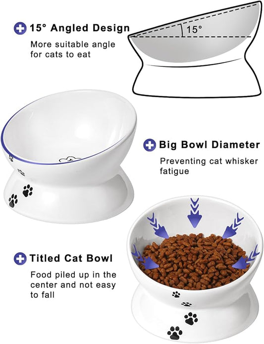 Y YHY Cat Food Bowl 6", Elevated Tilted Cat Bowl, Raised Cat Bowls for Adult Cats or Dogs, Ceramic Pet Food Water Dish 10 oz, White - PAWPICO