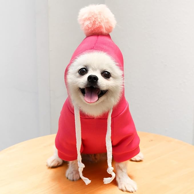 Warm Dog Winter Clothes Cute Fruit Dog Coat Hoodies Fleece Pet Dogs Costume Jacket for French Bulldog Chihuahua Ropa para Perro(1 Rose Red,L) - PAWPICO