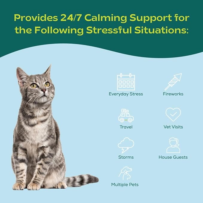 Pheromone Calming Collar for Cats Up to 30 Days Stress Relief Promotes Calmness, Reduces Hiding, Excessive Meowing, Urine Marking, Aggression, Travel Stress Drug-Free, Vet-Tested bSereneCalmingforCatsandDogs