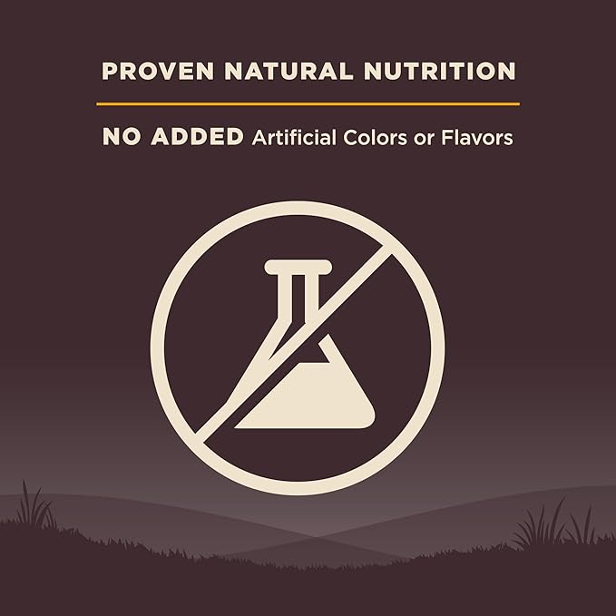 Wellness Natural Pet Food CORE Grain-Free High-Protein Small Breed Dry Dog Food, Natural Ingredients, Made in USA with Real Meat (Puppy ,Turkey, 12-Pound Bag) - PAWPICO