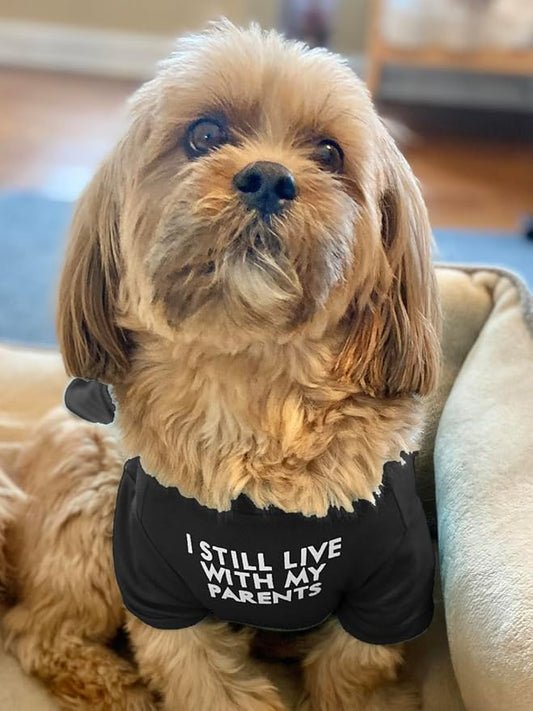 Cute Dog Clothes,Dog T Shirt for Medium Dogs.Dog Clothes for Small Dogs Girl Boy,Puppy.Breathable Soft Dog Costume for Pet Dogs Cats,Pet Pullover Jumper,Cat Clothes-L(10~17lb) Chest~18",Black,Parents - PAWPICO