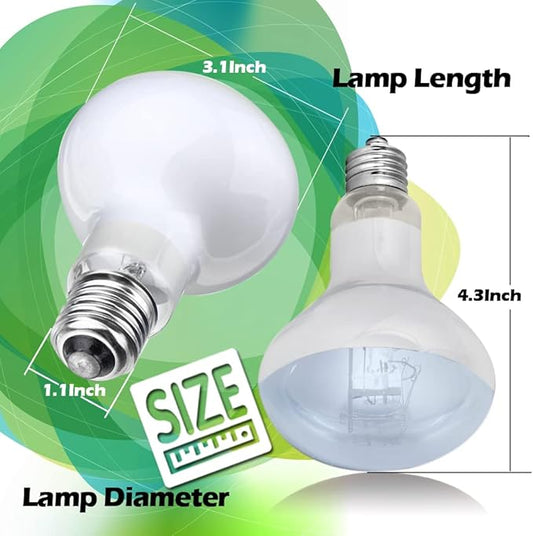 2 Pack 50W Reptile Heat Lamp Bulb Amphibian Basking Light Bulb, Reptile Daylight Bulb for Turtle, Bearded Dragon, Lizard,Chicken with Stick-on Digital Temperature Thermometer bestchoiceforyourreptiles