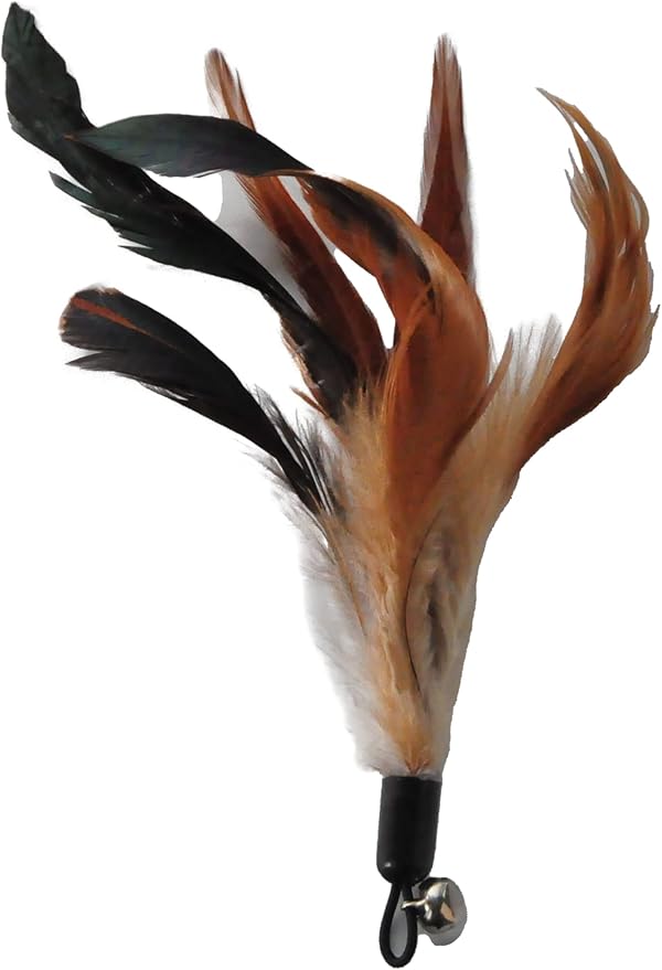 Cat Toys - No Chemical Dyeing Cat Feather Toys for Indoor Cats - Include Cat Wand and Natural Feather Refills - PAWPICO