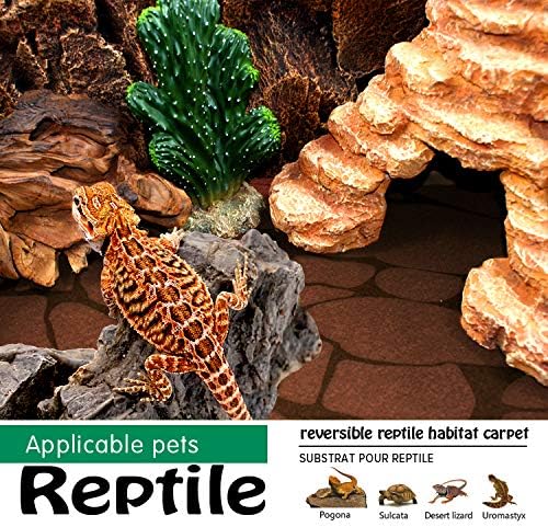2PCS Reptile Carpet 20 Gallon, Pet Terrarium Liner, Reptiles Cage Mat/Substrate for Snakes, Chameleons, Geckos and Kitchen Use with Tweezers Feeding Tongs Printing Desert bestchoiceforyourreptiles