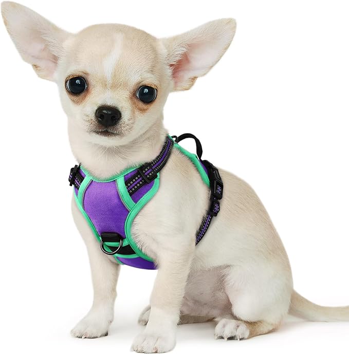 Eagloo Dog Harness for Large Dogs, No Pull Service Vest with Reflective Strips and Control Handle, Adjustable and Comfortable for Easy Walking, No Choke Harness with 2 Metal Rings, Purple & Green, XS GoExplorewithEagloo