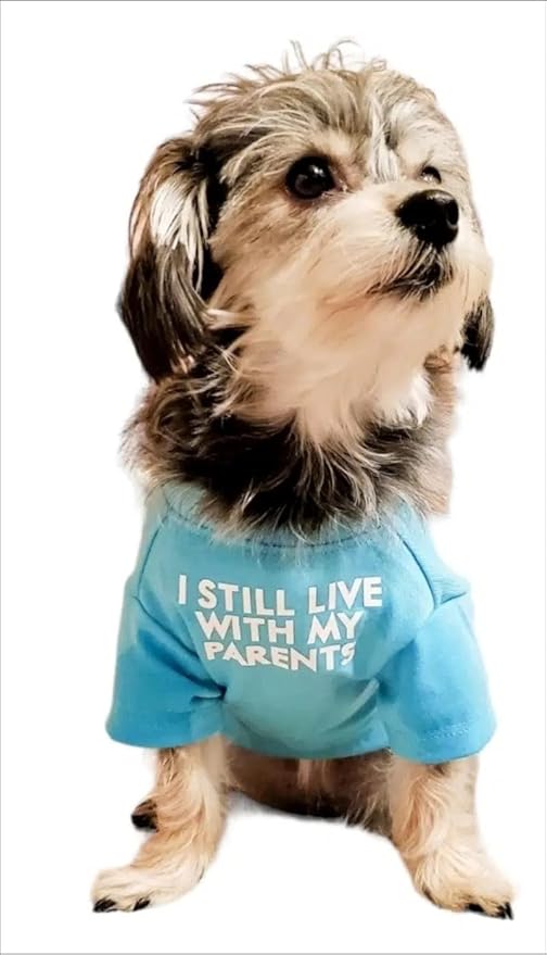 Cute Dog Clothes,Dog T Shirt for Medium Dogs.Dog Clothes for Small Dogs Girl Boy,Puppy.Breathable Soft Dog Costume Pet Dogs Cats,Pet Pullover Jumper,Cat Clothes (S-(4~8lb), Chest~14", Aqua) - PAWPICO