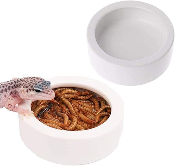 Tfwadmx 2 Pack Reptile Food Bowl, Mini Ceramic Water Feeder Bowl, Reptile Worm Feeding Dish for Lizard Turtle Bearded Dragon Anoles Crested Gecko Hermit Crab Leopard Gecko Chameleon Corn Snake Tfwadmx