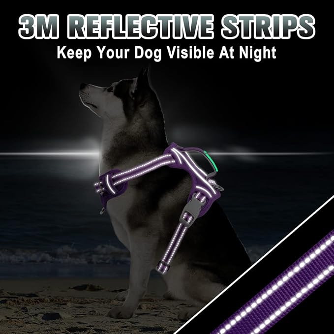BARKBAY No Pull Dog Harness Large Reflective Dog Harness with Front Clip and Easy Control Handle for Walking Training Running with ID tag Pocket(Purple,L) BARKBAY