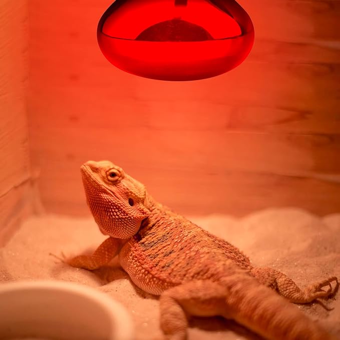 Aiicioo Reptile Red Night Light Bulb - 150W Reptile Heat Lamp Bulb Infrared Basking Spot Lamp for Bearded Dragon Lizard Turtle Hermit Crab Leopard Gecko Snake Chameleon Tank AIICIOO